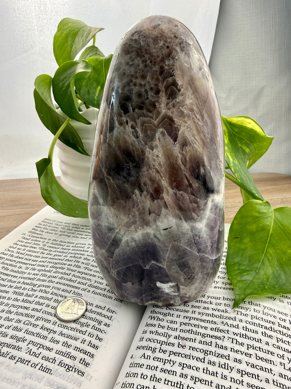 Chevron Amethyst  stone on an open book with green leaves in the background