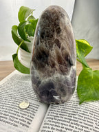 Chevron Amethyst  stone on an open book with green leaves in the background