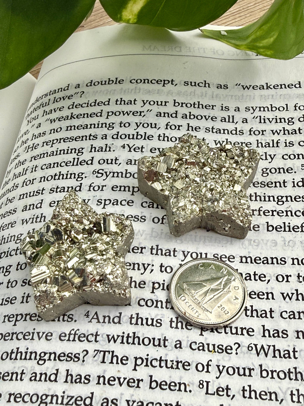 Star-shaped pyrite on an open book with a coin to show size 