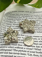 Star-shaped pyrite on an open book with a coin to show size 