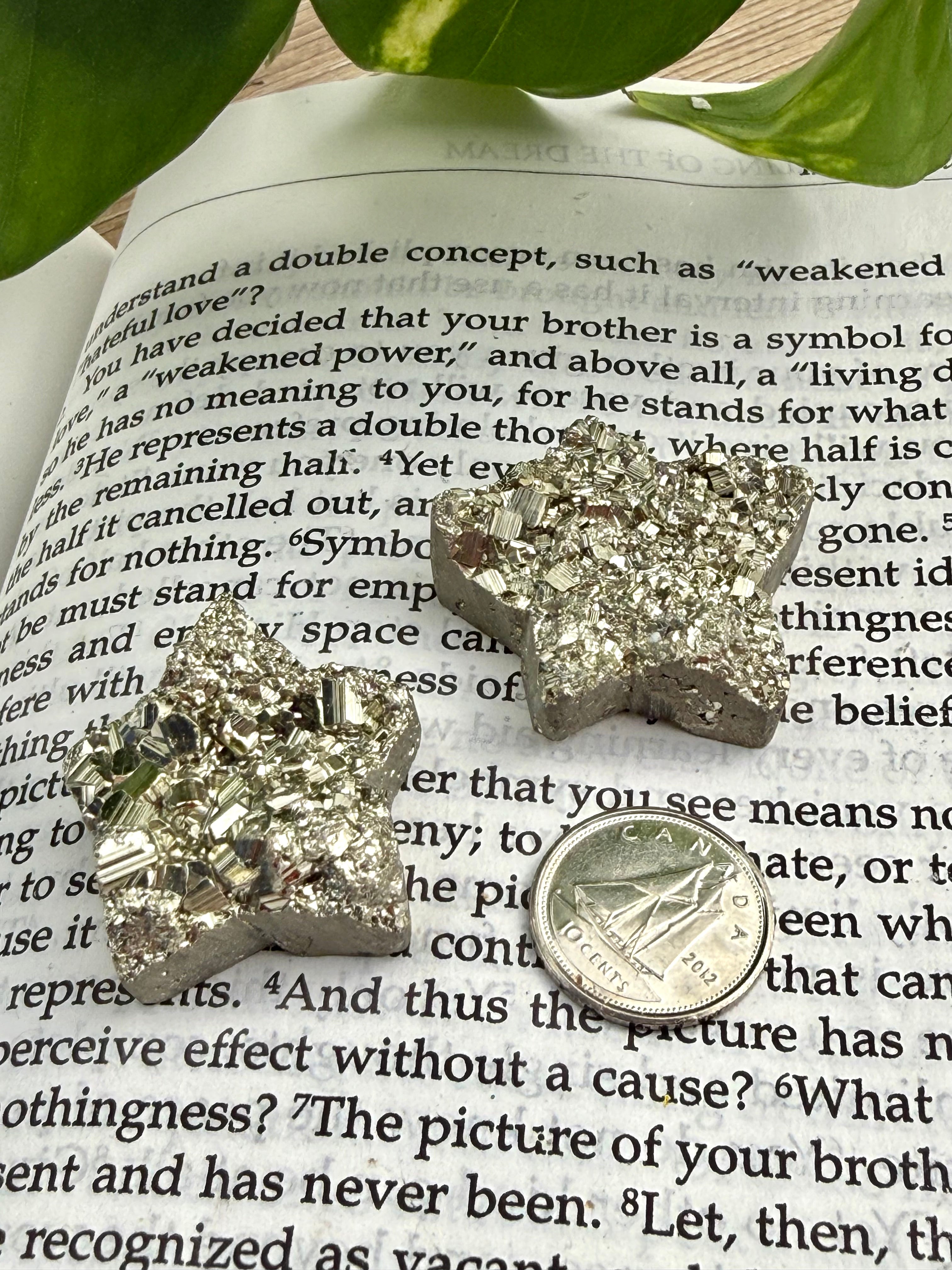 Star-shaped pyrite on an open book with a coin to show size 