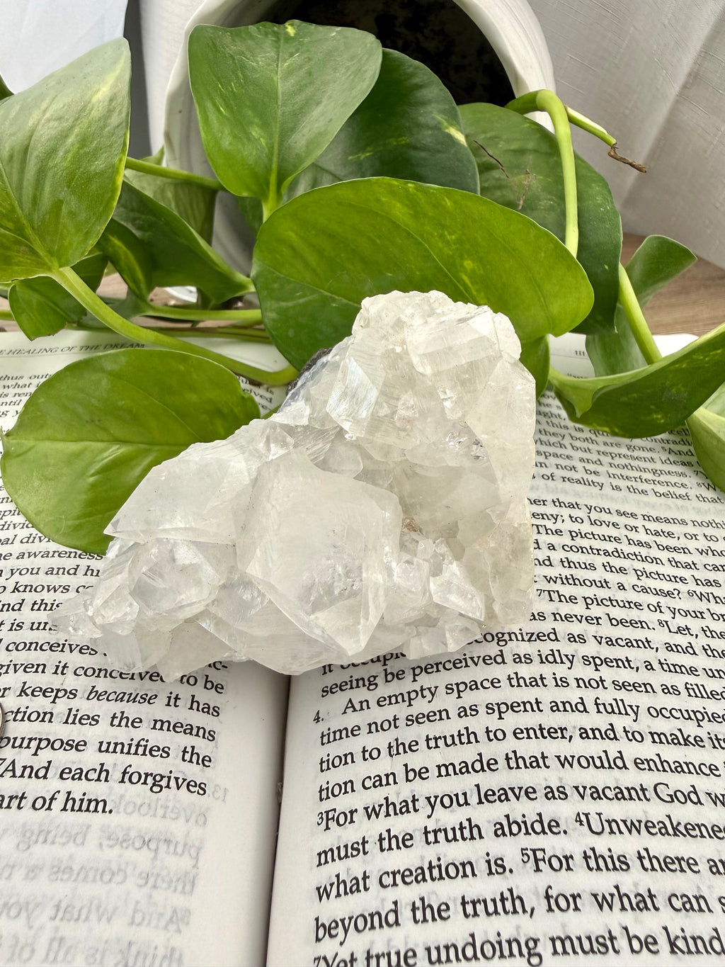 Apophyllite crystal on an open book with green leaves in the background