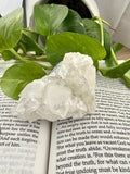 Apophyllite crystal on an open book with green leaves in the background