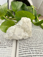 Apophyllite crystal on an open book with green leaves in the background