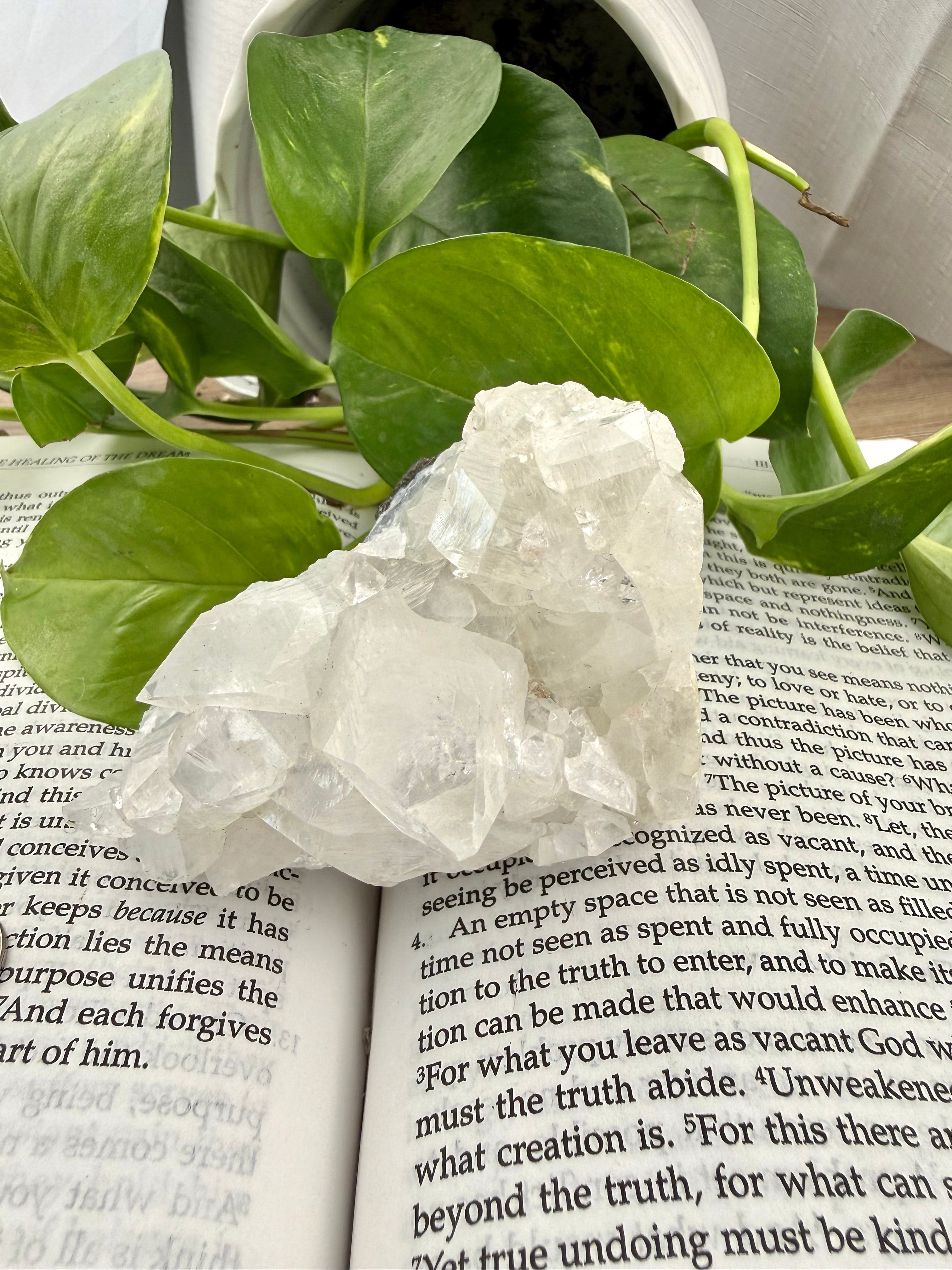 Apophyllite crystal on an open book with green leaves in the background
