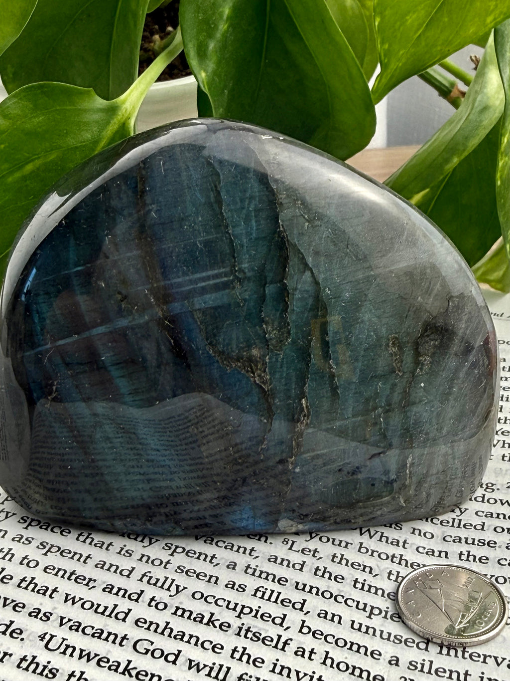 Labradorite stone on a book with a coin for scale, surrounded by green leaves.