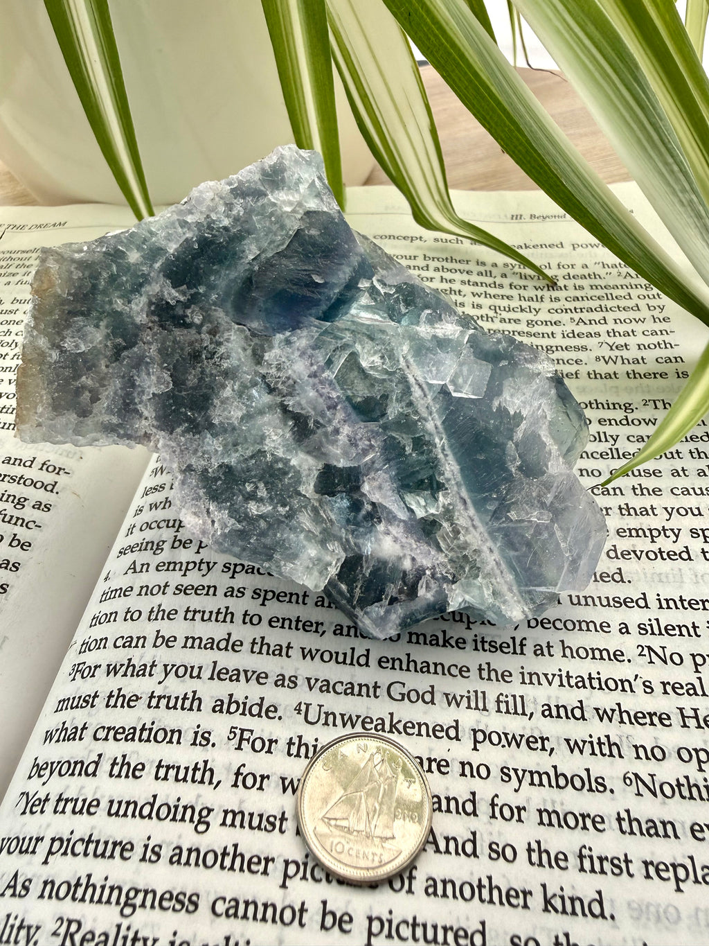 Fluorite crystal on an open book with a coin for scale, plant in the background
