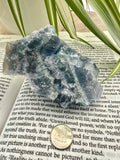 Fluorite crystal on an open book with a coin for scale, plant in the background