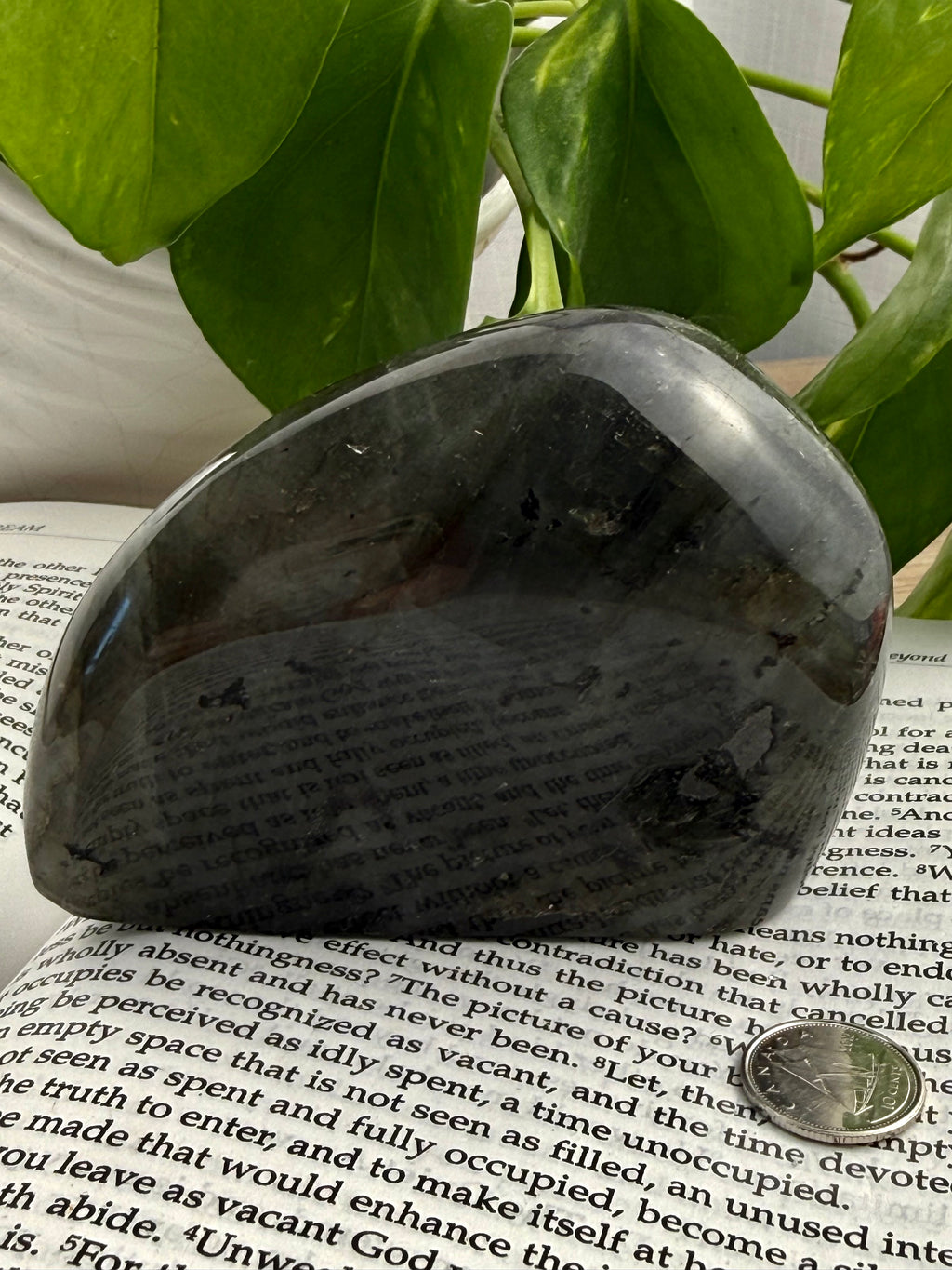 Labradorite free form on an open book with green leaves in the background