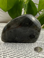 Labradorite free form on an open book with green leaves in the background