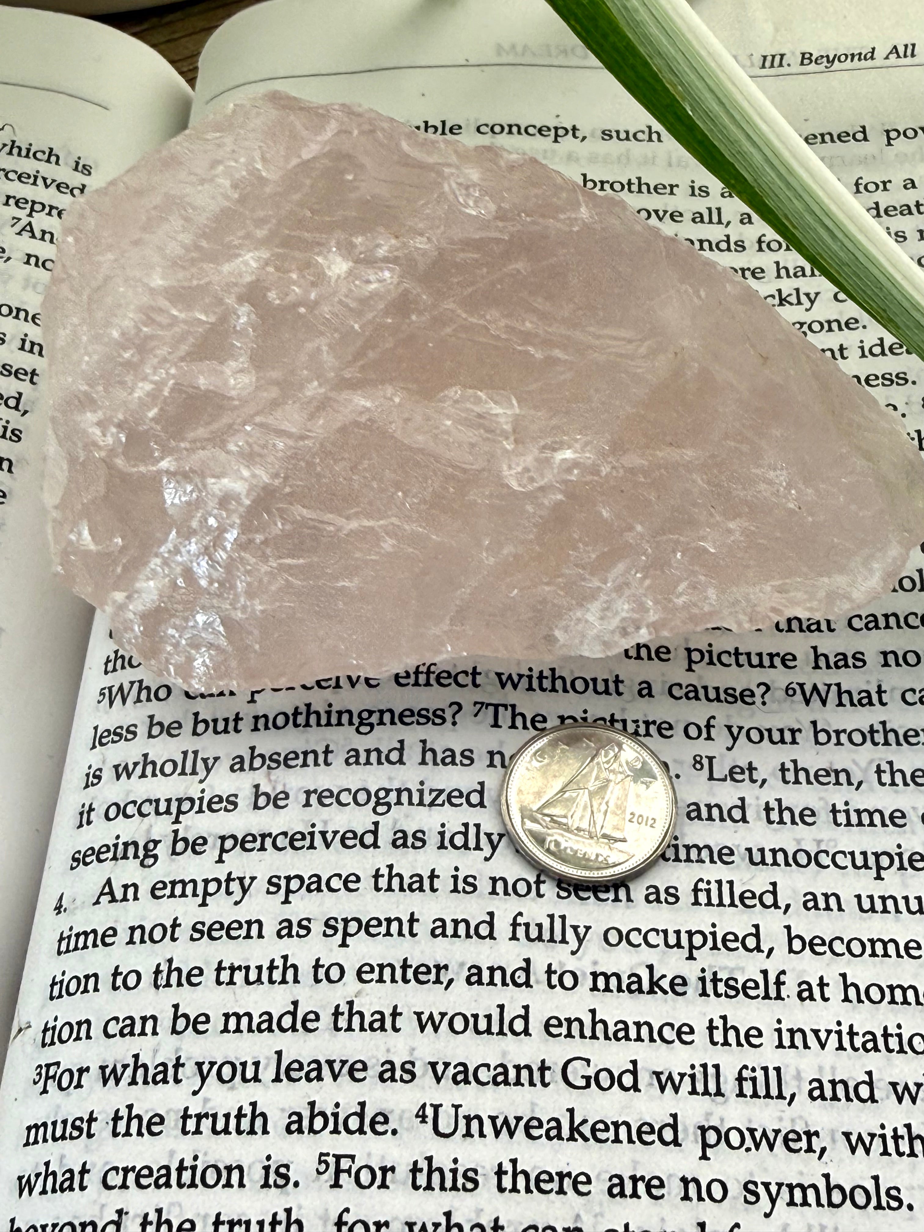 Rose Quartz crystal on an open book with a coin for scale