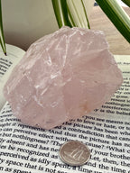 rose quartz on a book with a dime to show scale 
