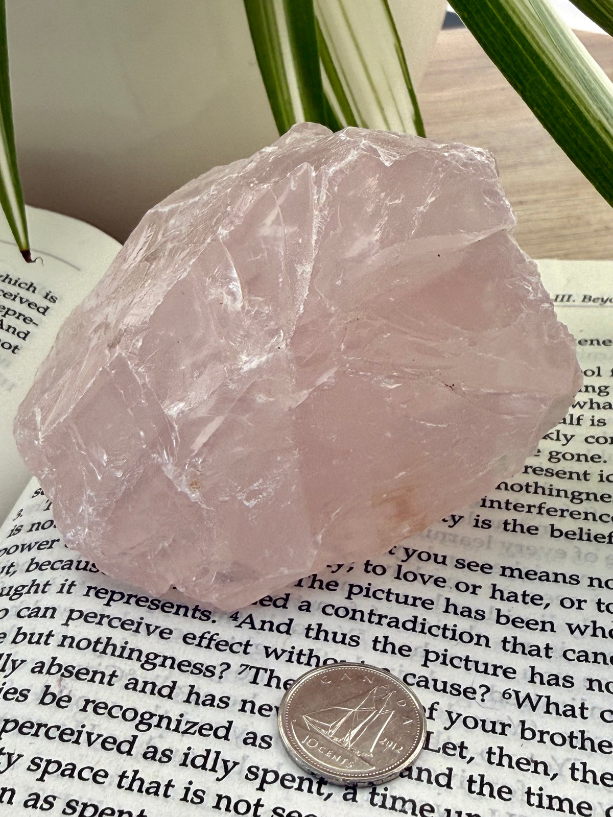 rose quartz on a book with a dime to show scale 