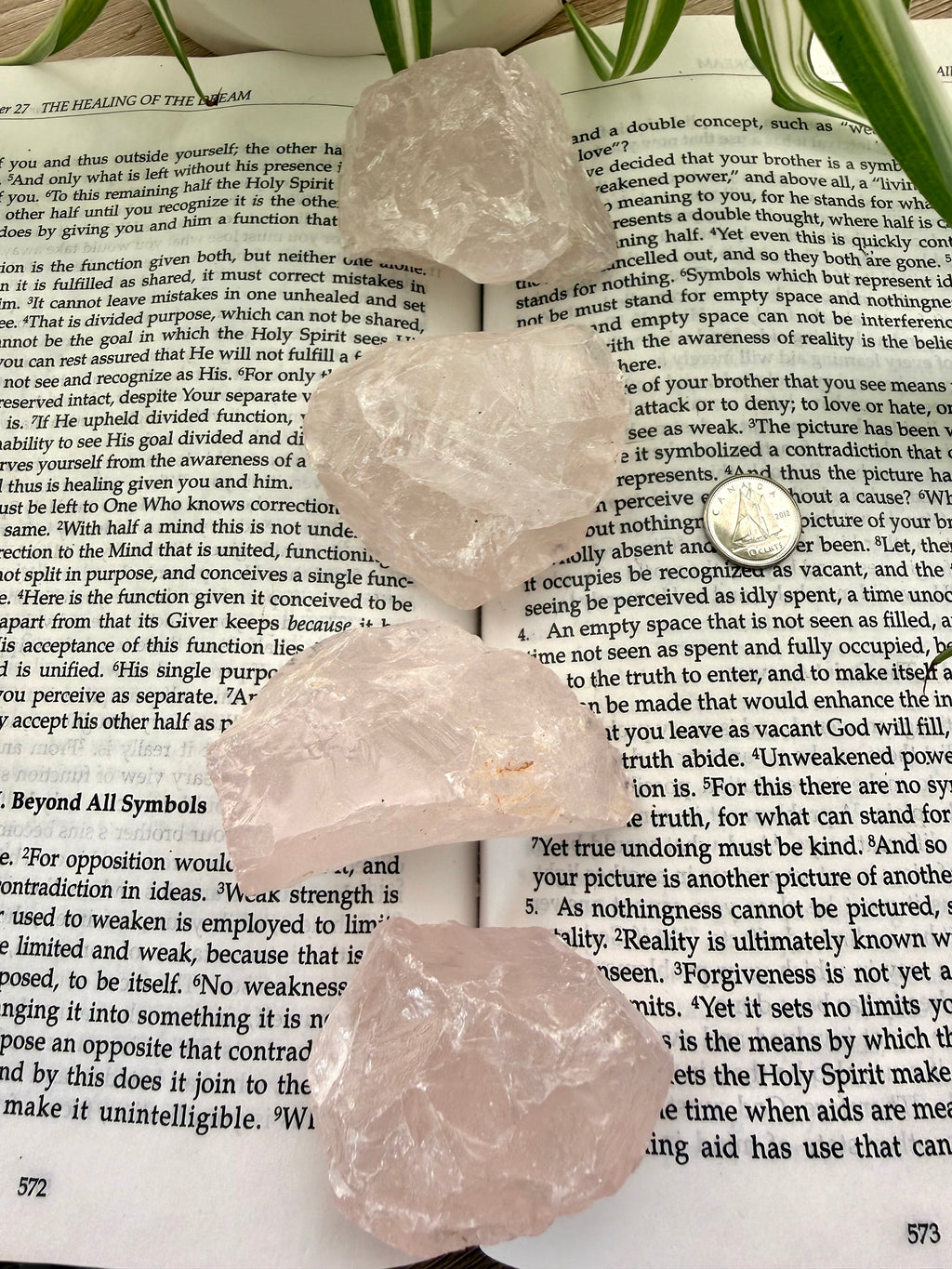 4 rose quartz crystals on top of a book with green leaves in the background