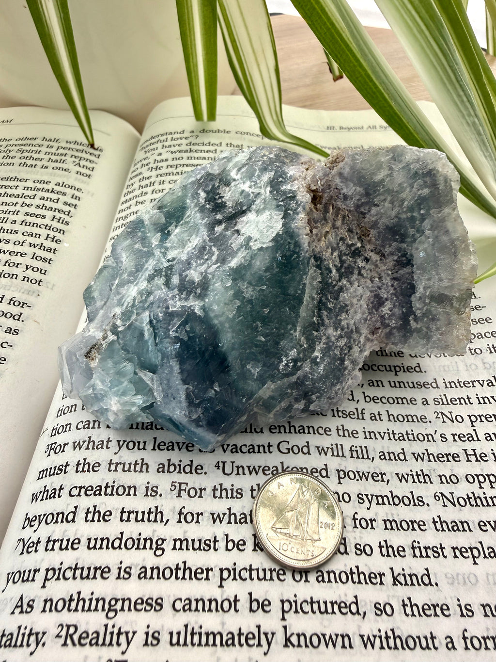 Fluorite crystal on an open book with a coin for scale, surrounded by green leaves.