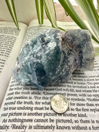 Fluorite crystal on an open book with a coin for scale, surrounded by green leaves.
