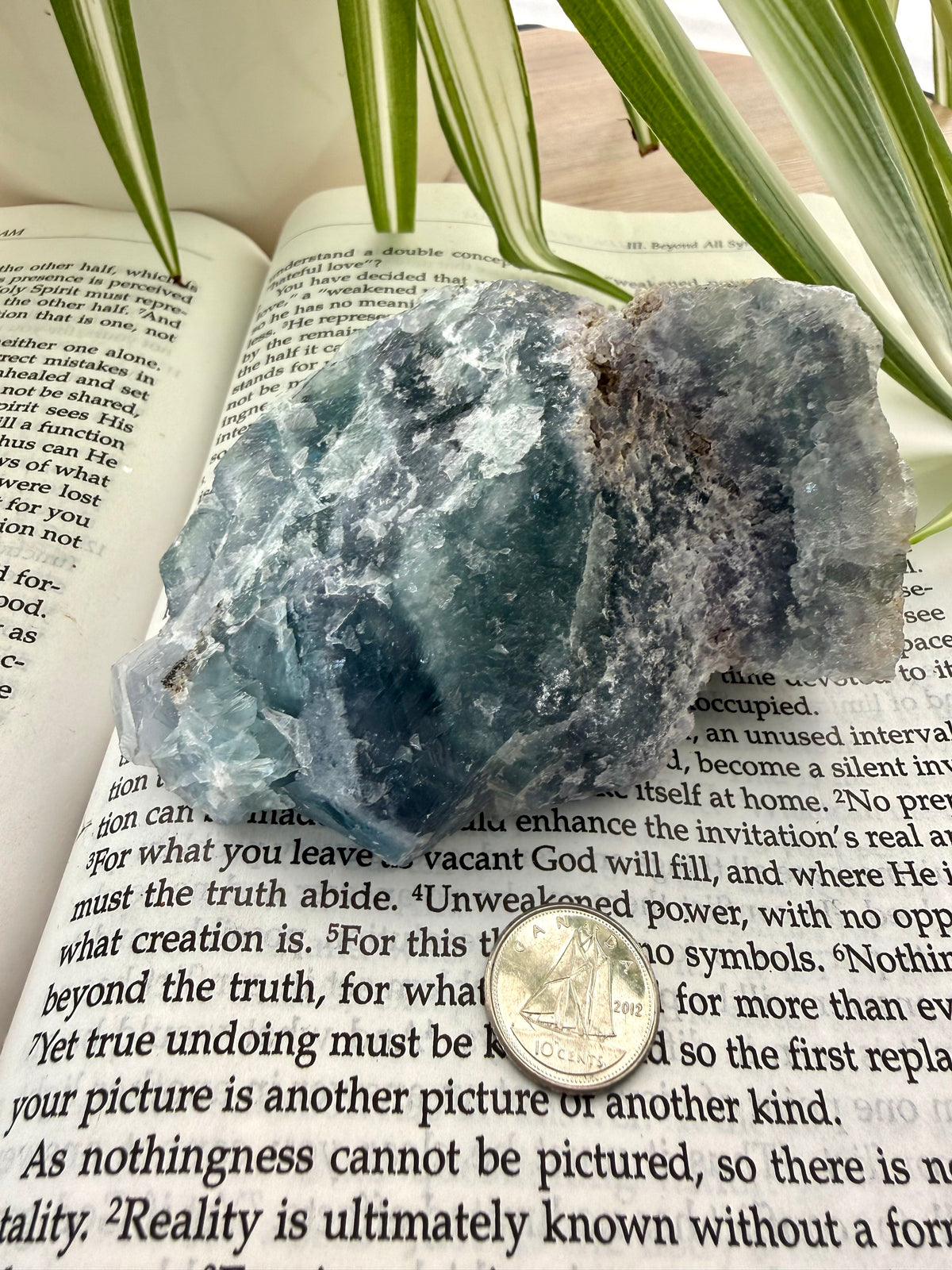 Fluorite crystal on an open book with a coin for scale, surrounded by green leaves.