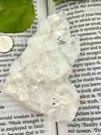 Apophyllite crystal cluster on an open book with a coin and plant leaf in the background