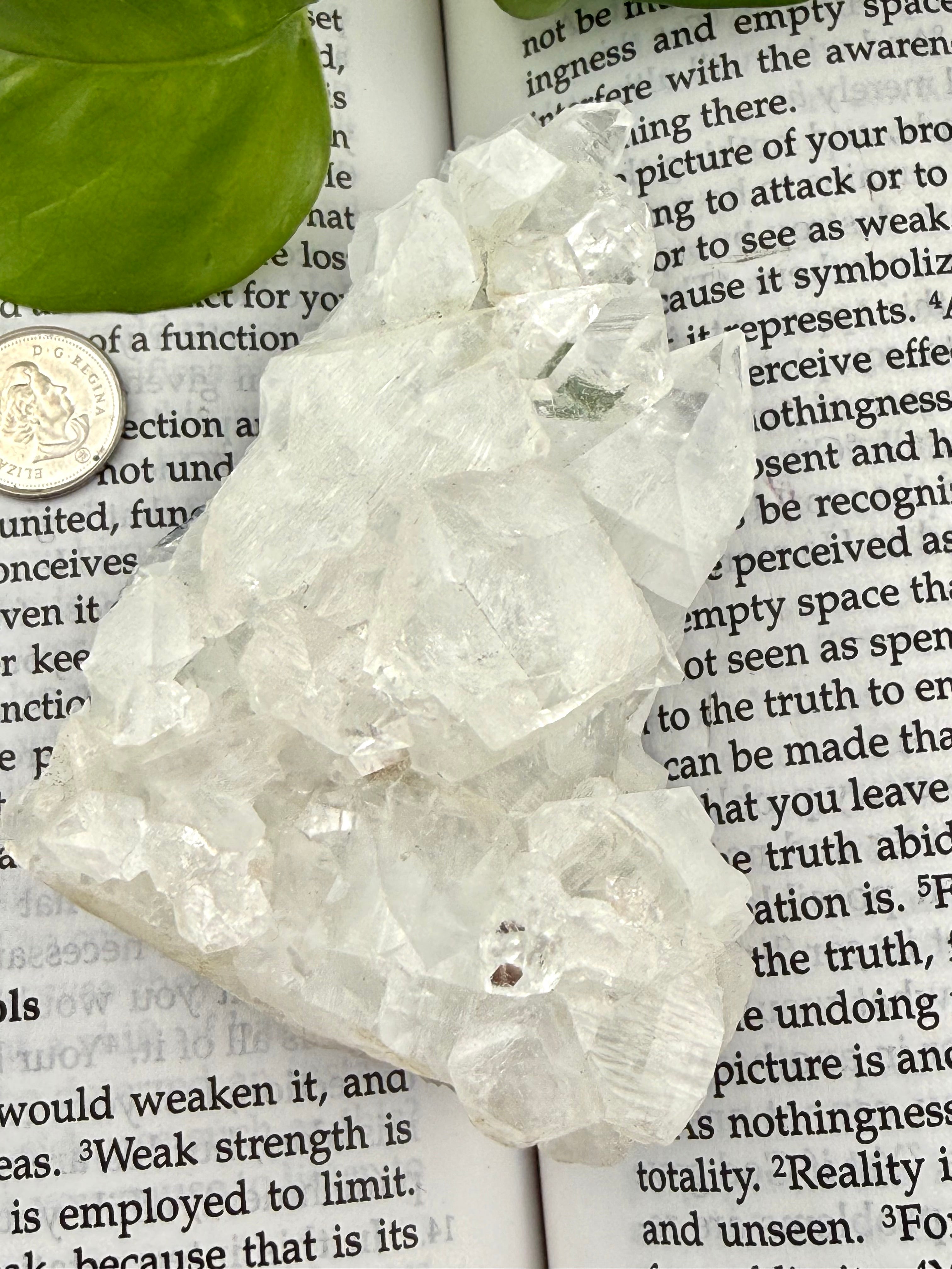 Apophyllite crystal cluster on an open book with a coin and plant leaf in the background
