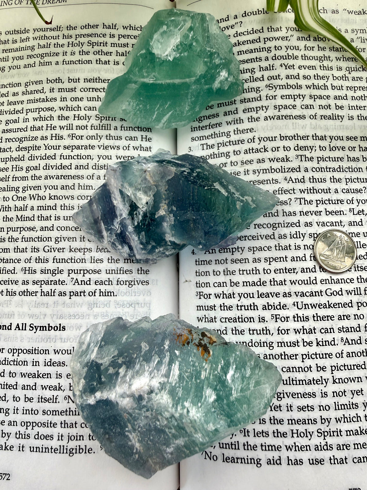 3 x fluorite crystals on an open book