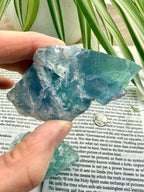 Hand holding a raw fluorite crystal over a book with plants in the background