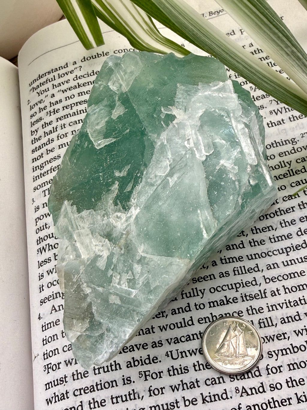 Fluorite crystal on an open book with a coin for scale