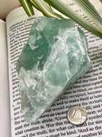 Fluorite crystal on an open book with a coin for scale