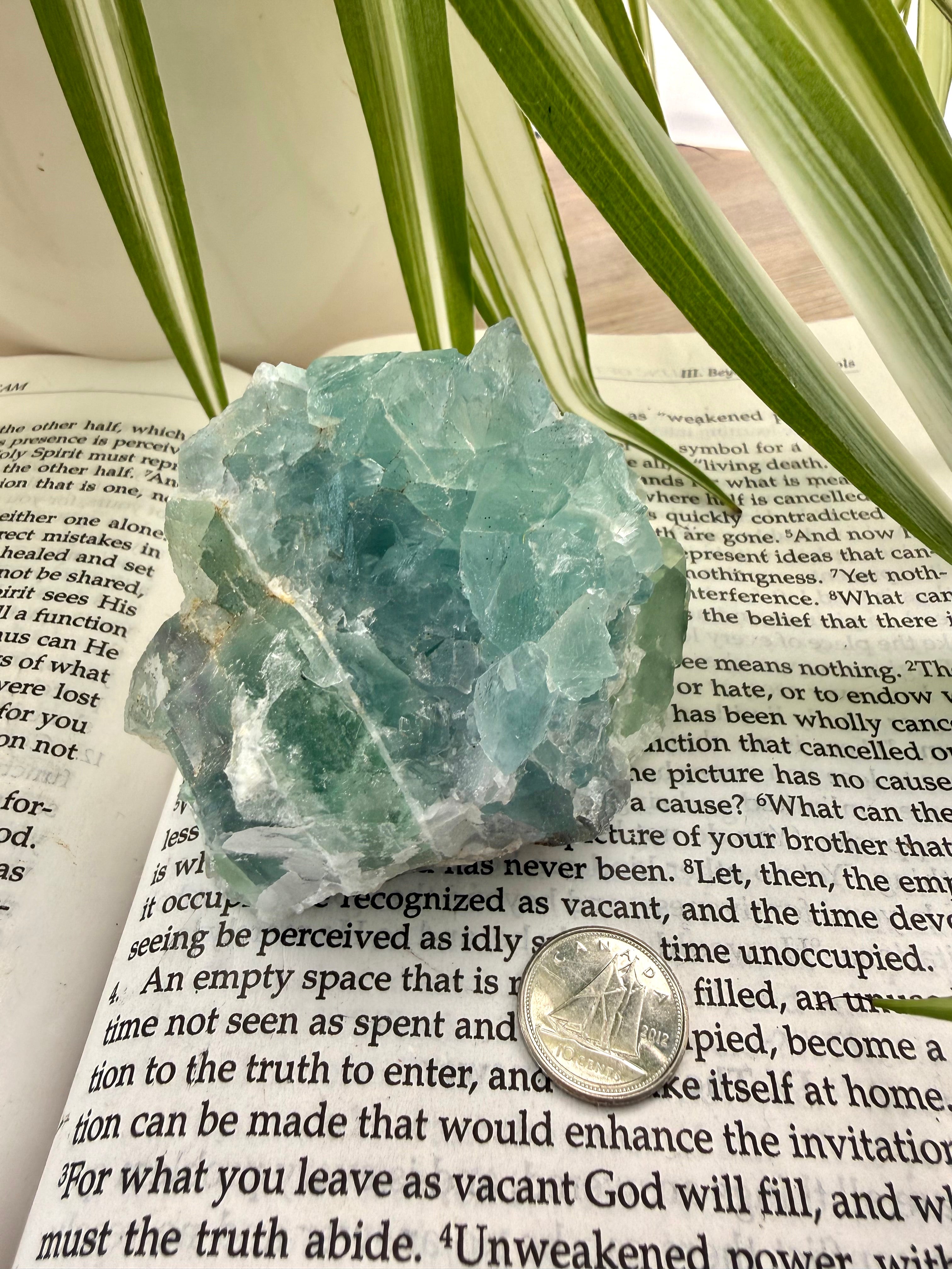 Fluorite crystal on an open book with a coin for scale