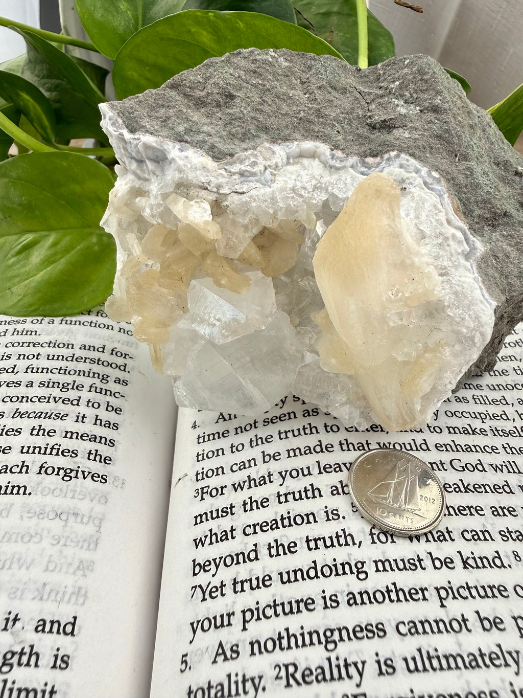 Crystal on top of an open book with green leaves in the background