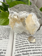 Crystal on top of an open book with green leaves in the background