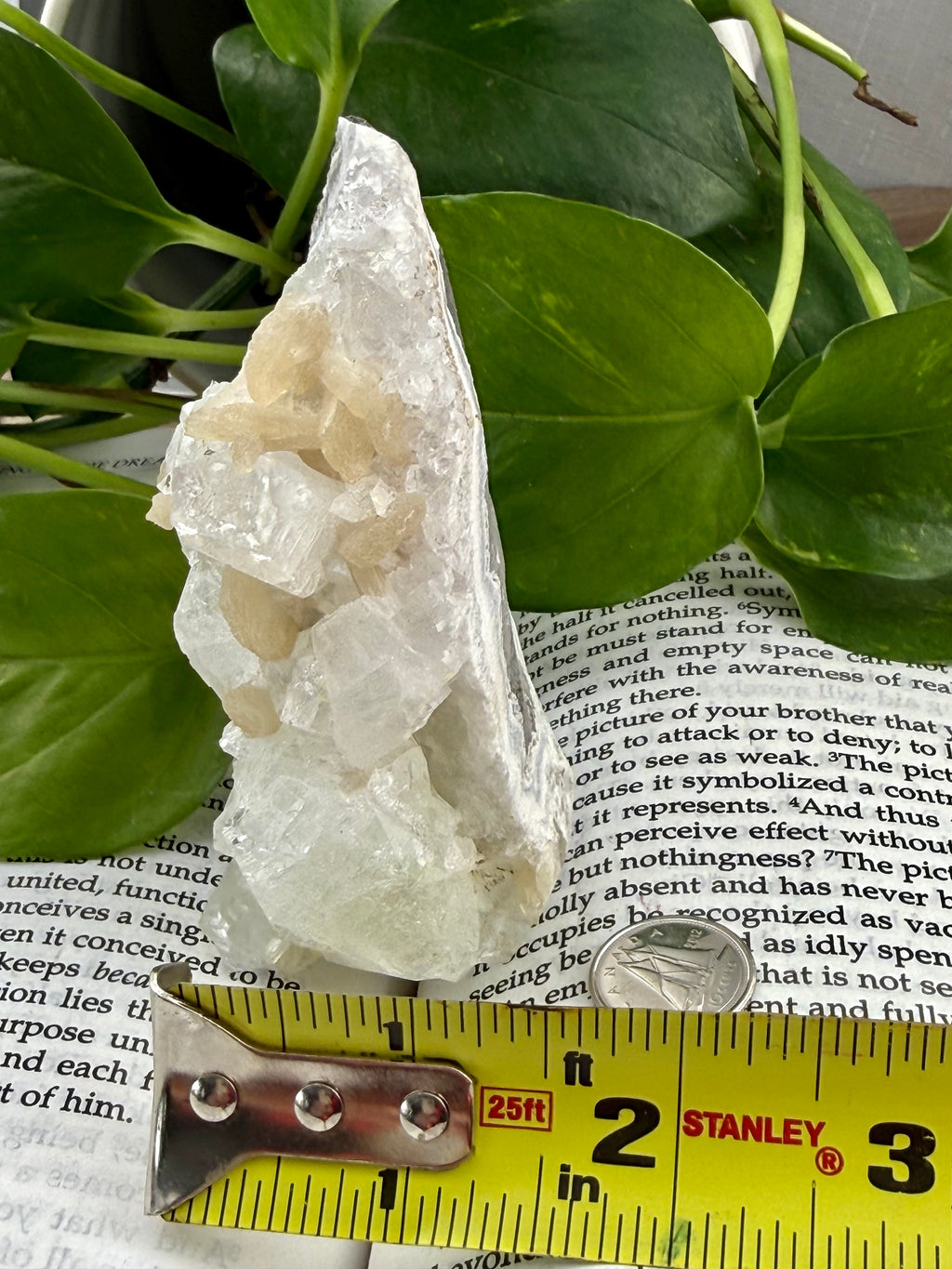 Standing apophyllite with measuring tape showing it to be about 1.5" across at the base 