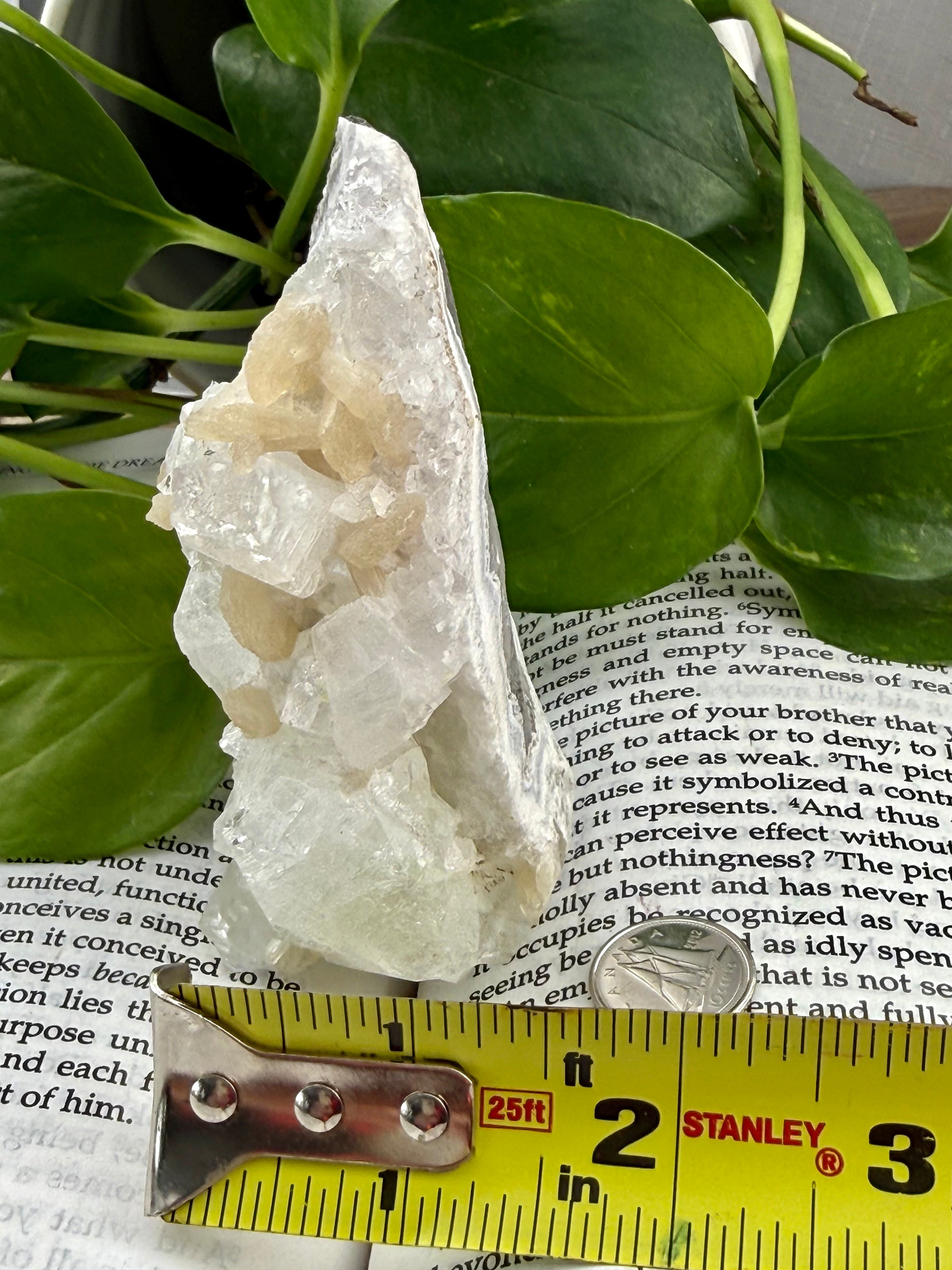 Standing apophyllite with measuring tape showing it to be about 1.5" across at the base 