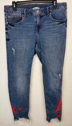 Dex embroidered feather skinny jeans medium wash distressed raw hem front view size 32 — Blue Sparrow pre-loved Canadian brand fashion on hanger