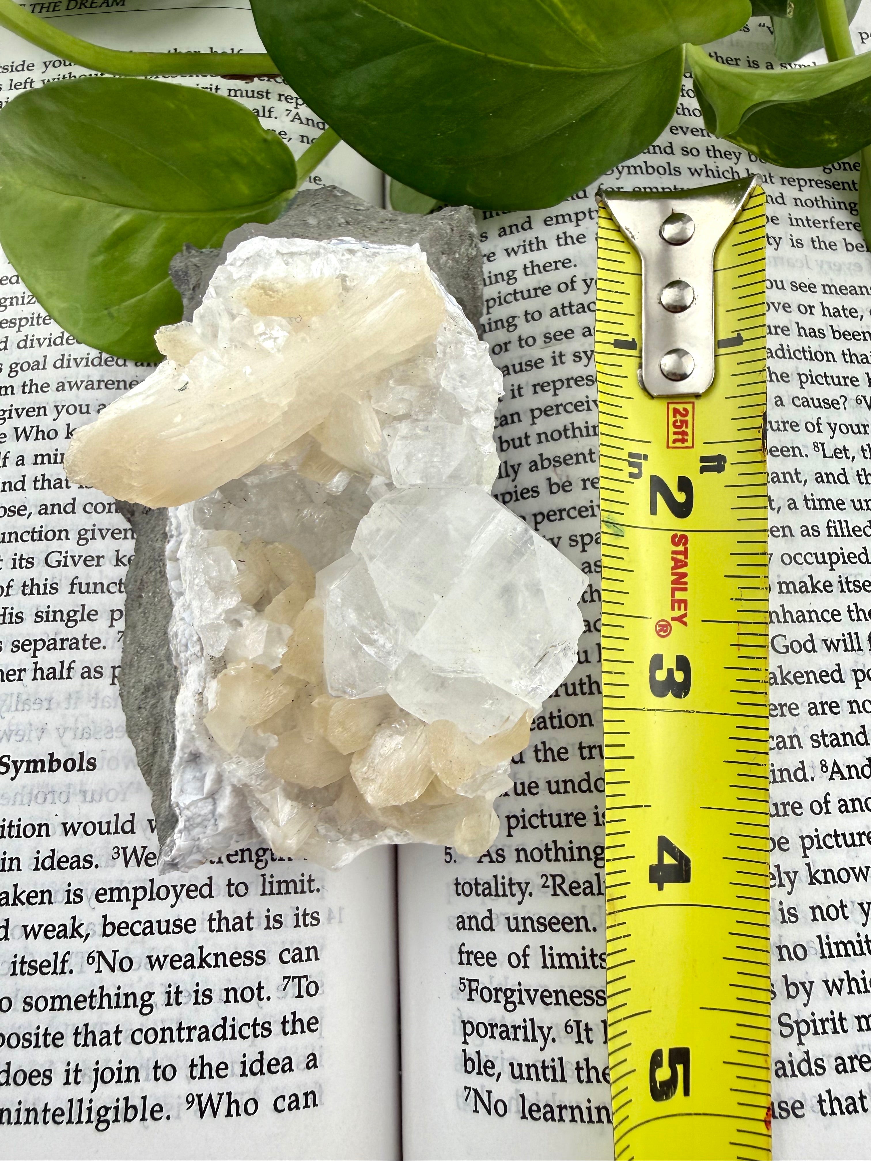 apophyllite showing a measuring tape that it's 4"long 