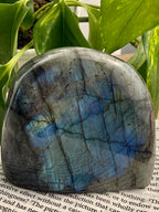 Labradorite stone with blue and purple patterns on a book page with green leaves in the background