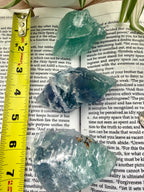 Three fluorite crystals on a book with a measuring tape for scale.