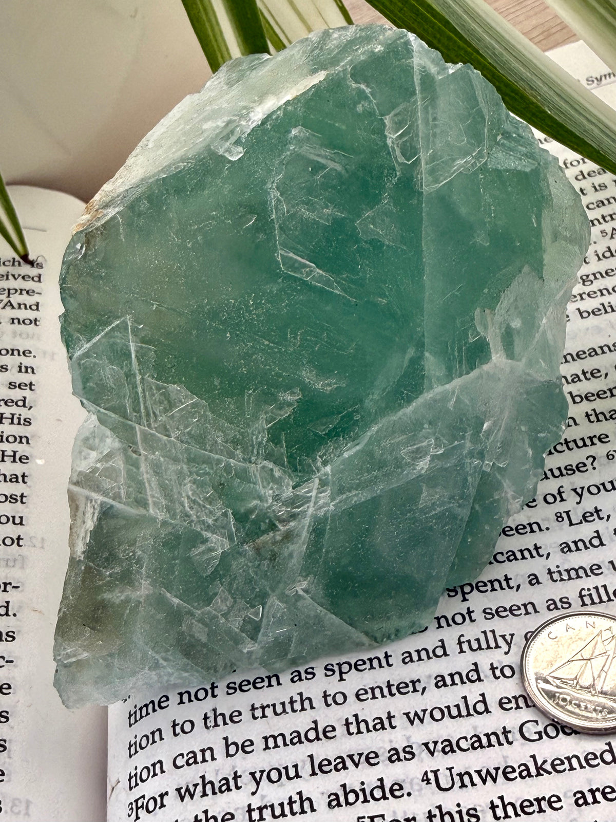 Green fluorite crystal on top of a book