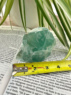 Green fluorite crystal on an open book with a measuring tape, surrounded by green leaves.