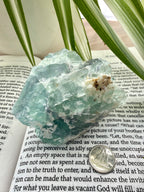 Fluorite crystal on an open book with a plant in the background