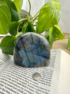 High Flash Labradorite Free Form crystal on an open book with green leaves in the background