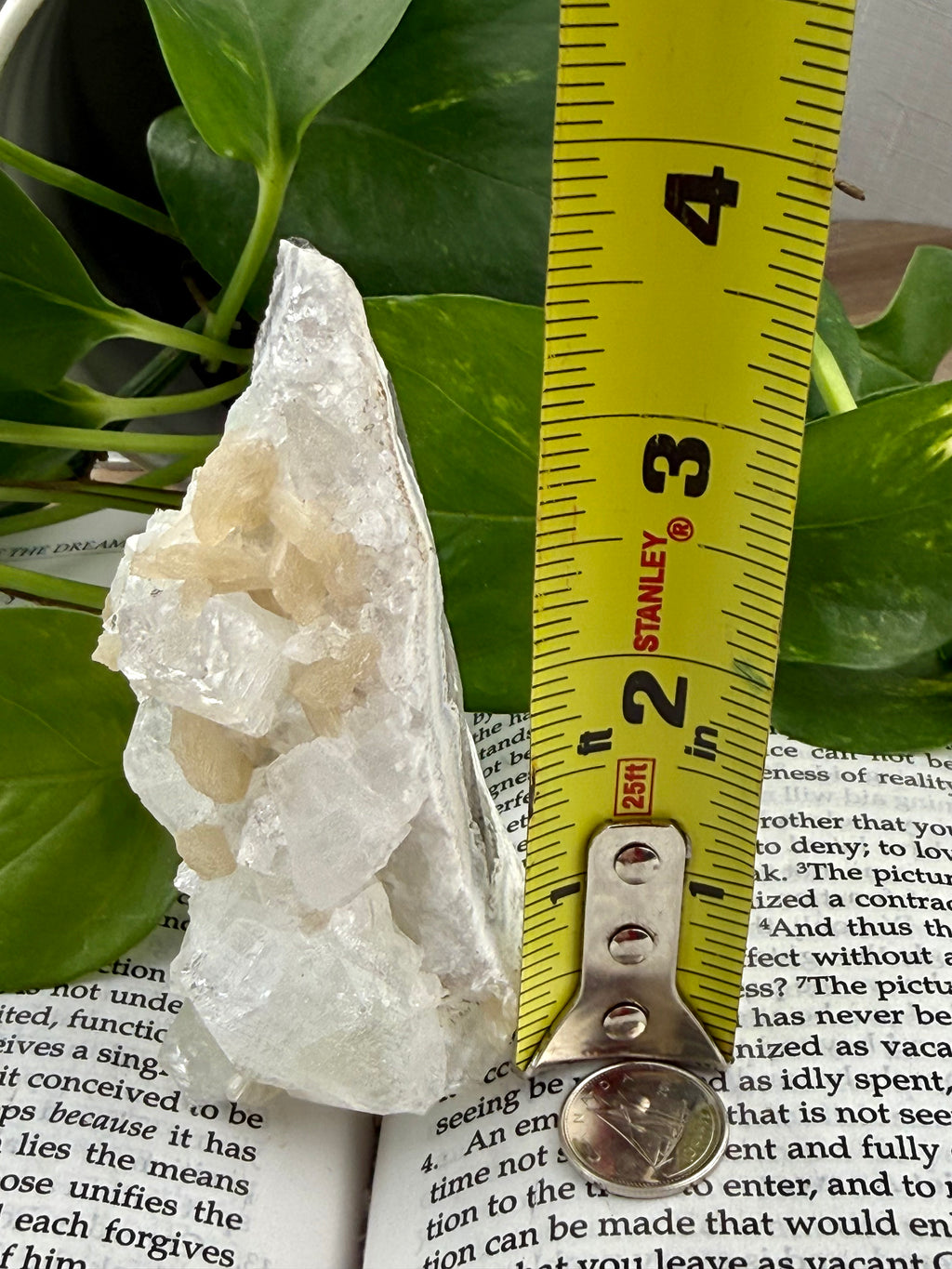 Apophyllite  with a measuring tape on top of a book with green leaves in the background