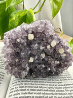 Amethyst Cluster