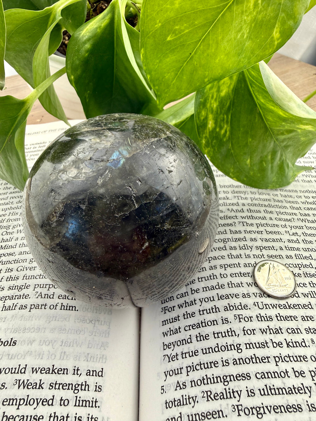 Labradorite crystal ball on an open book with green leaves in the background
