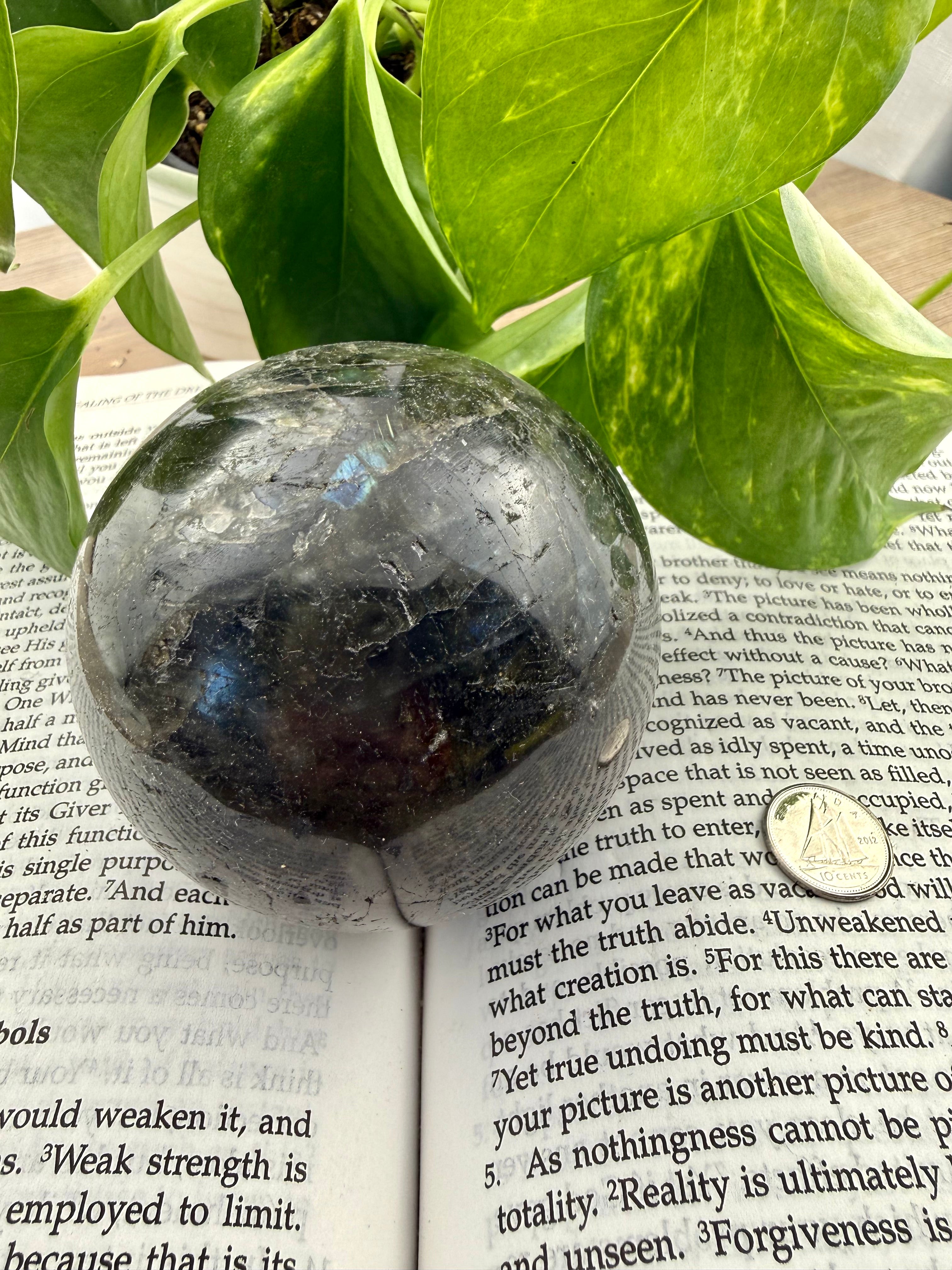 Labradorite crystal ball on an open book with green leaves in the background