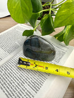 Labradorite form on an open book with a measuring tape, surrounded by green leaves.
