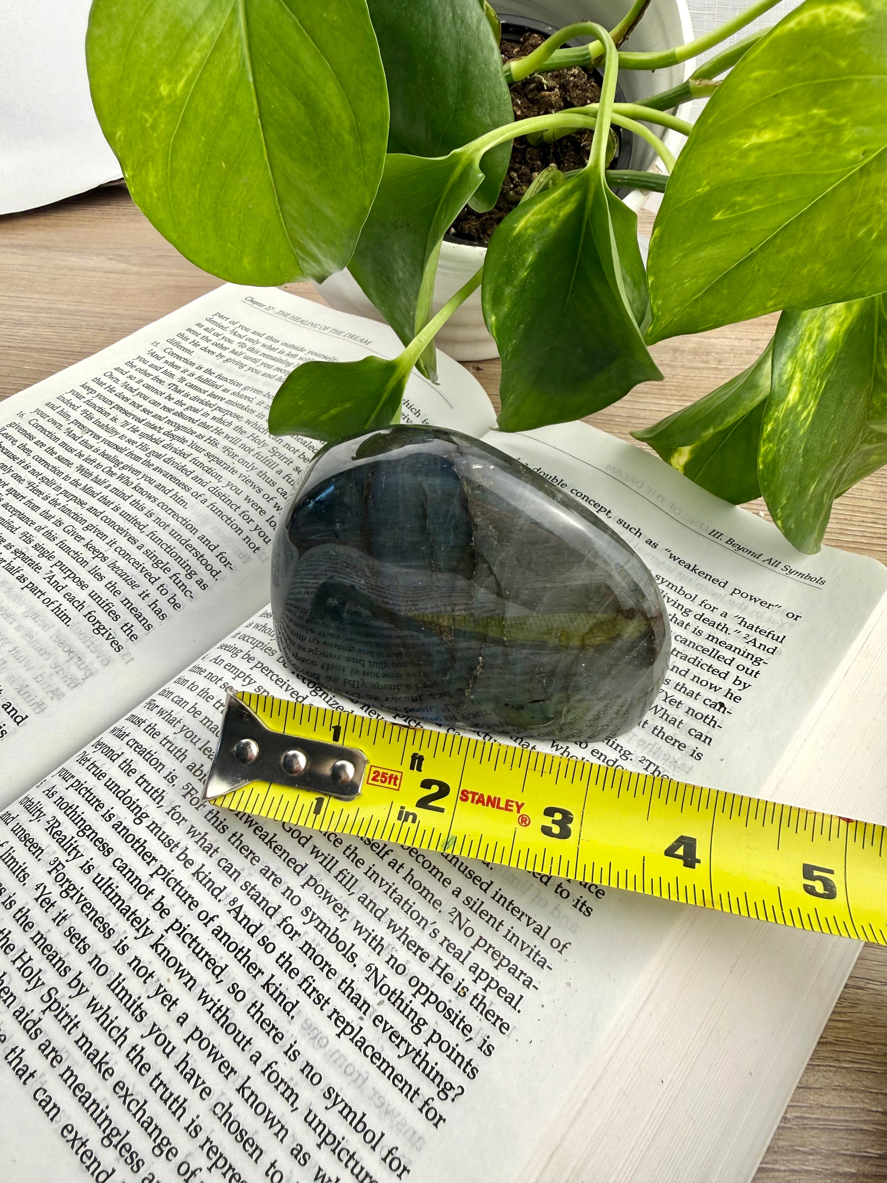 Labradorite form on an open book with a measuring tape, surrounded by green leaves.