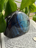 High Flash Labradorite on a book with greenery 