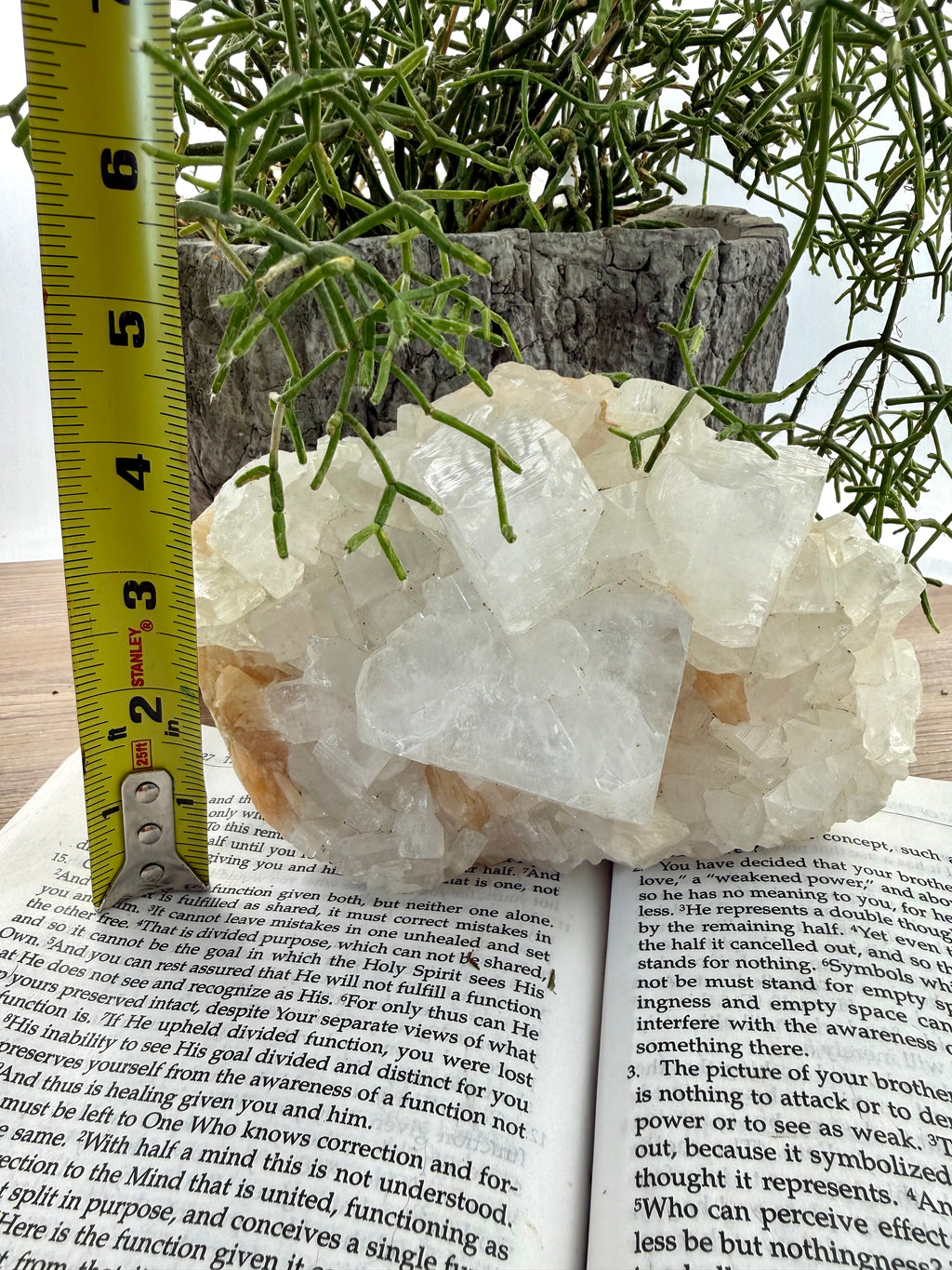 Apophyllite crystal cluster on a piece of paper with a ruler for scale, surrounded by greenery.