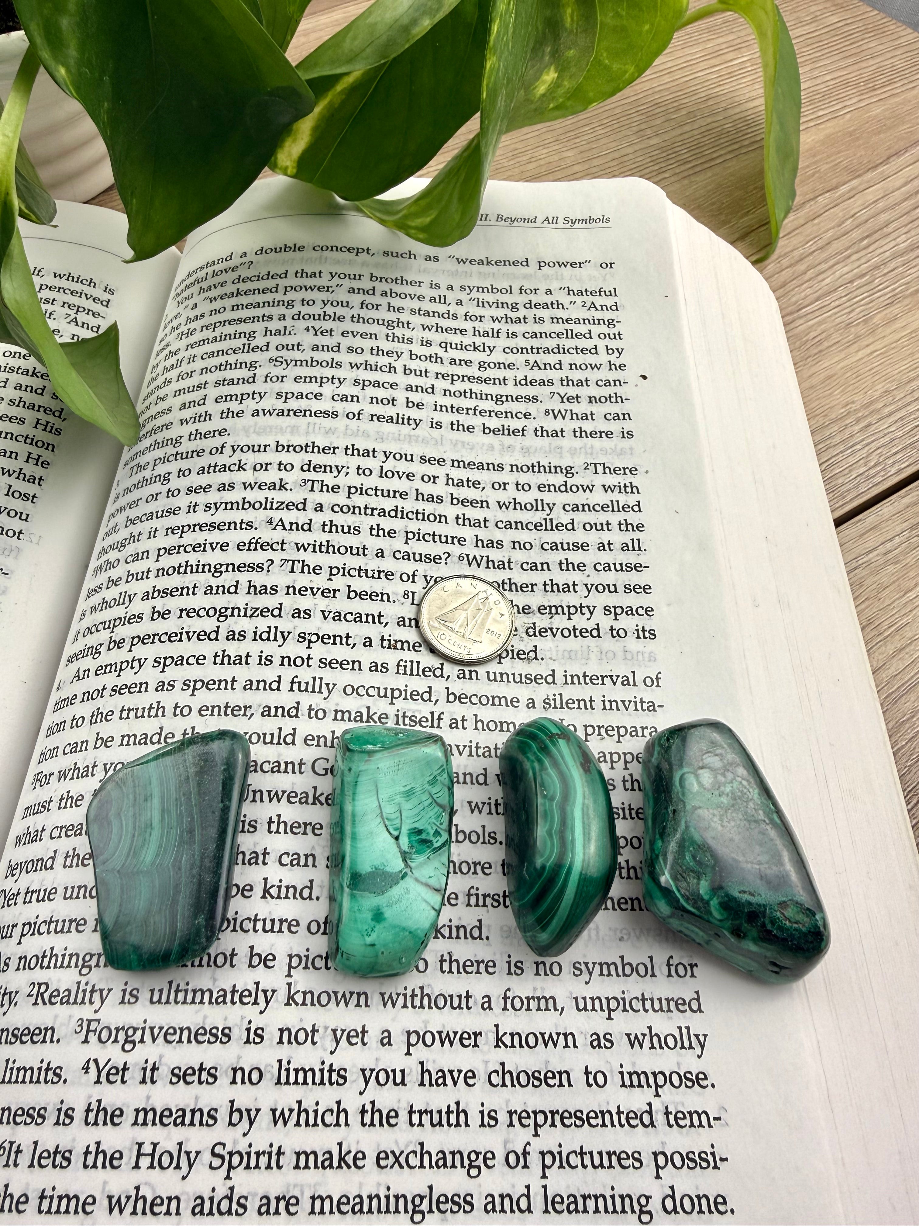 Four green  malachite stones on an open book with a plant in the background