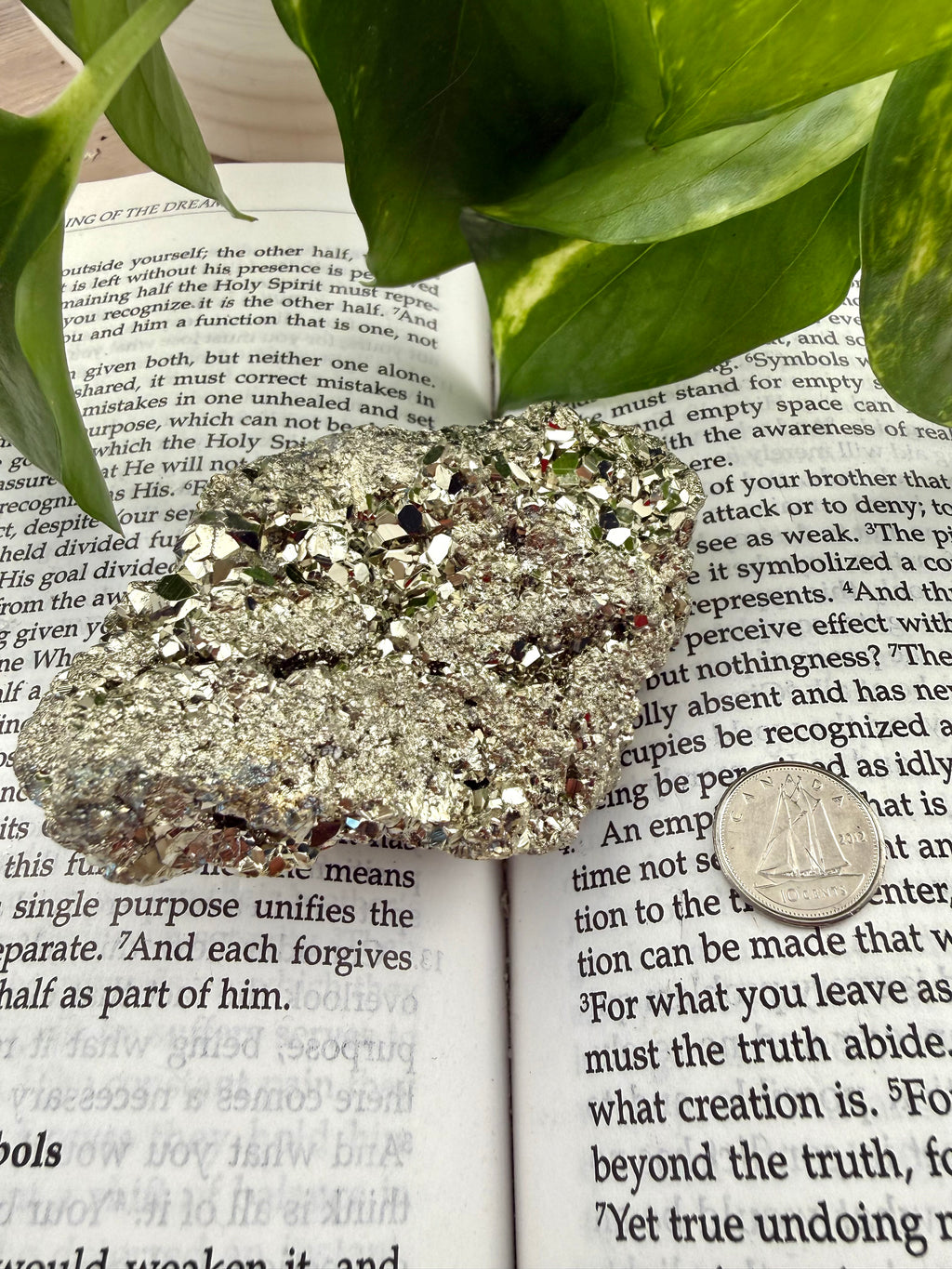 Pyrite on an open book with leaves and a dime to show scale 